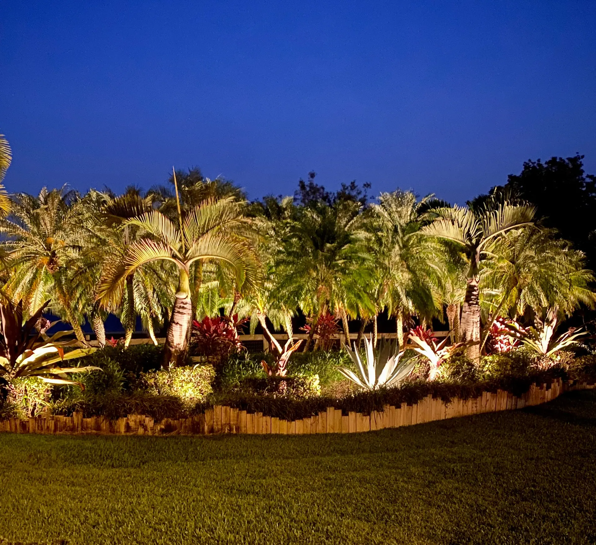 A curved planting bed lit at blue hour
