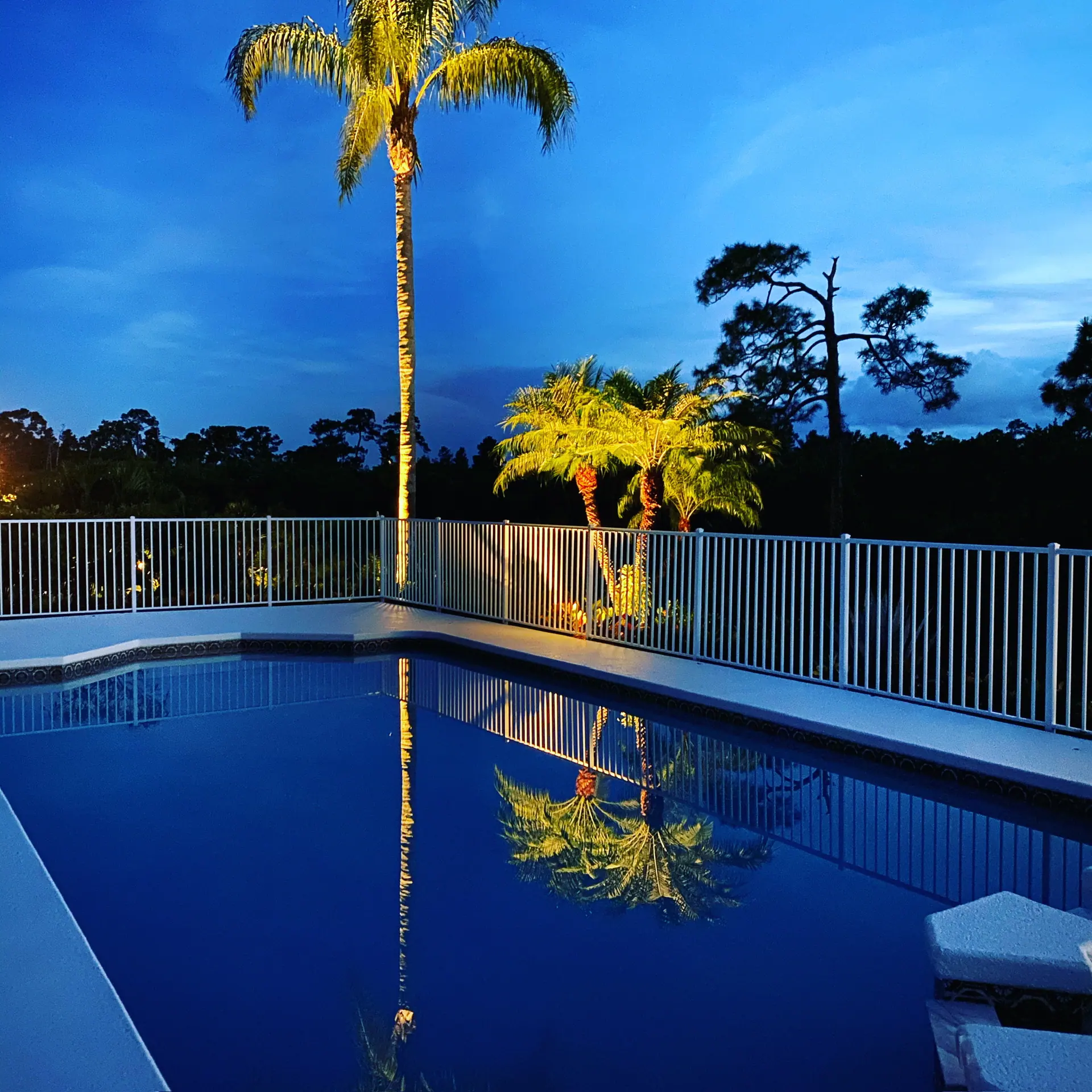 Uplit palms reflected in a pool at dusk
