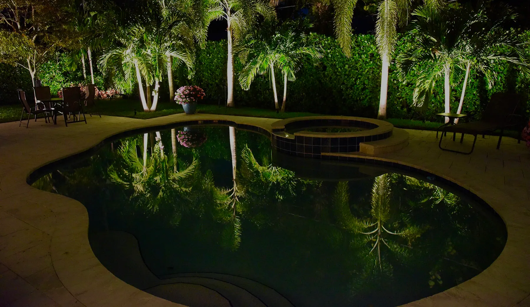 Pool light off: a pool and spa with uplit palms