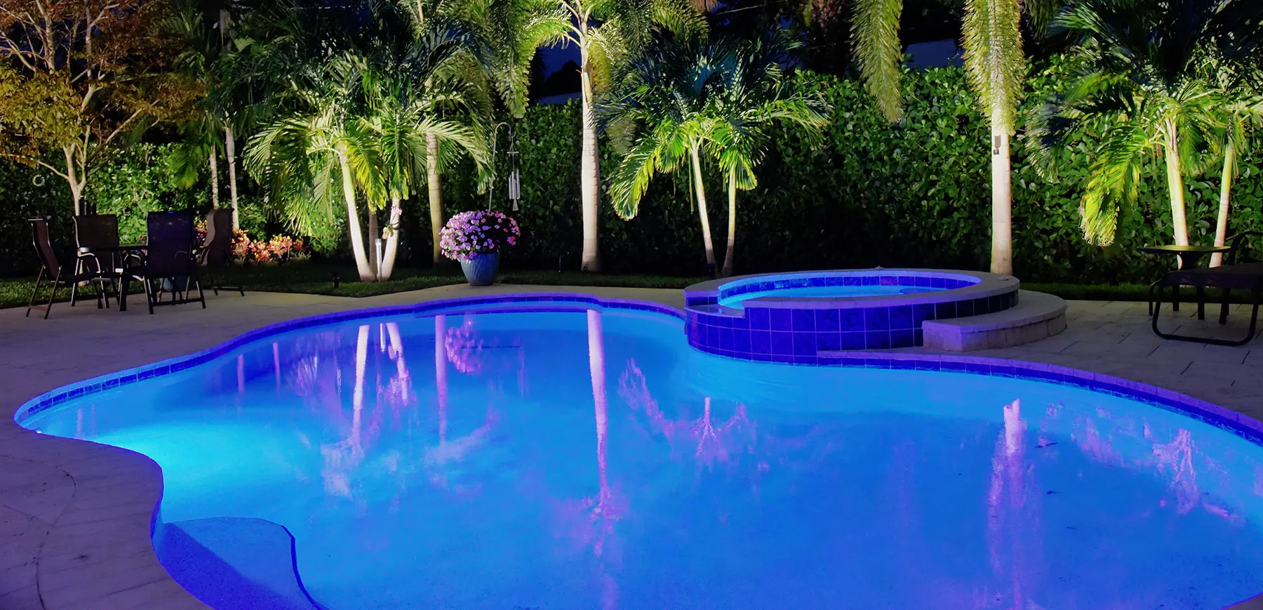 Pool light on: a pool and spa with uplit palms