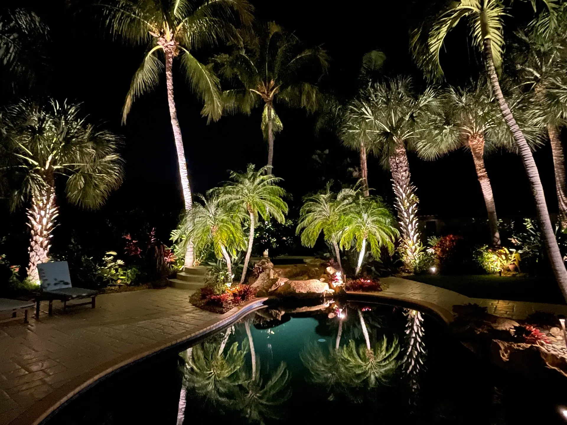 Palms reflected across a pool