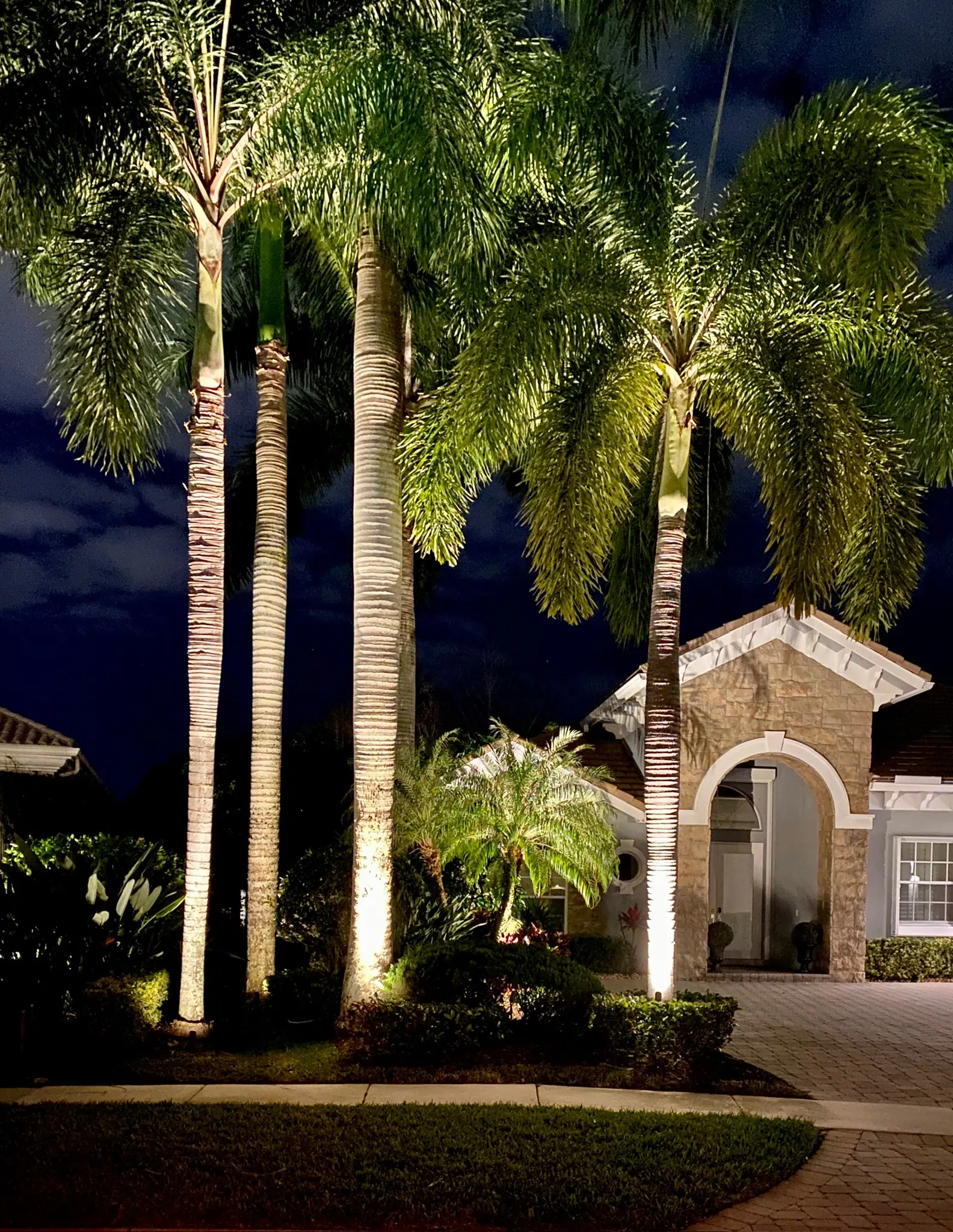 Royal palms uplit beside an entry arch