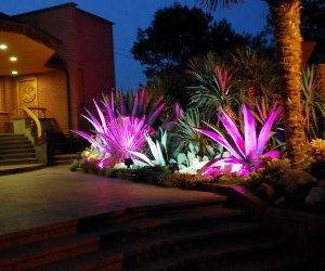 Is Professional Holiday Lighting Worth It in Palm Beach?