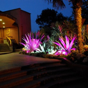 Smart Colored Lighting in West Palm Beach, FL