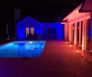 Turtle-Friendly Outdoor Lighting in Palm Beach: Dark-Sky and Amber LEDs