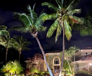 Rainy Season Readiness: Protecting Palm Beach Outdoor Lighting