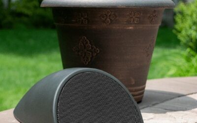 Summer-Perfect Outdoor Audio for Palm Beach Pool Nights