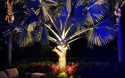 Signs Your Palm Beach Garden Needs Smarter Night Lighting