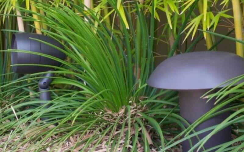 When Outdoor Audio Elevates Palm Beach Garden Lighting