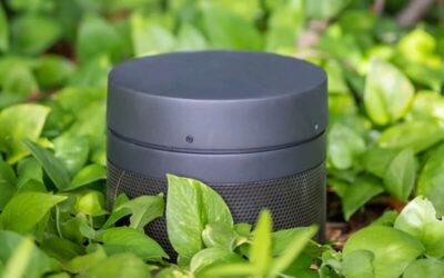 Nighttime Garden Soundscapes in Palm Beach: Placement, Mounts, Volume Control